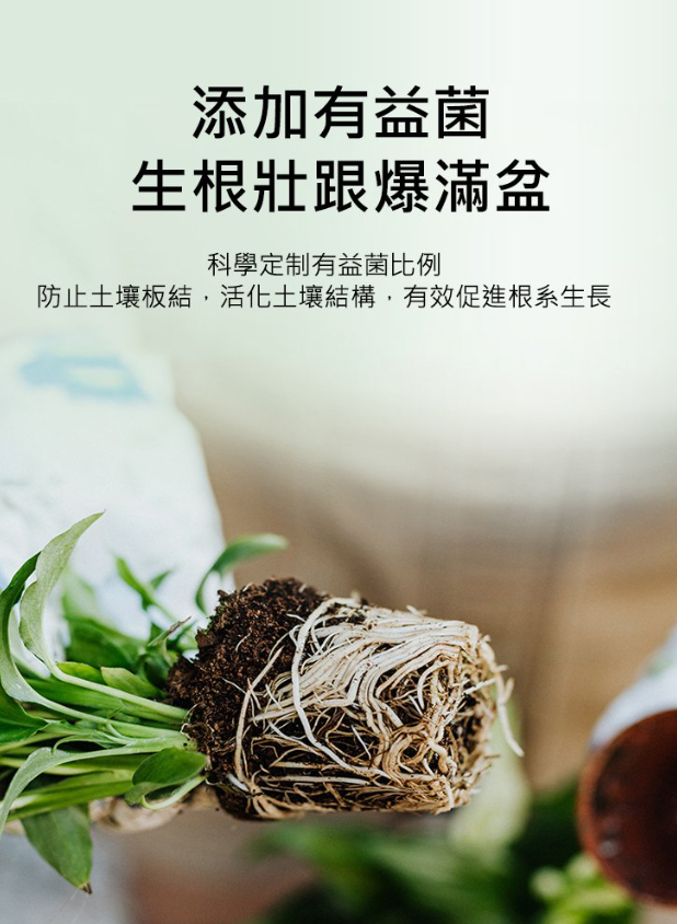 805627dd329b12477232c127c444990.png