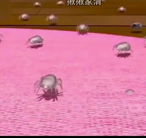 1713944557775270.gif